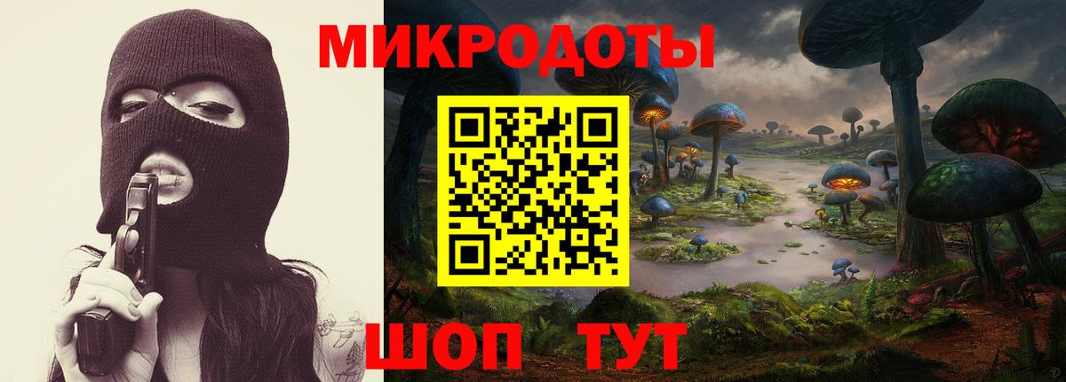Псилоцибиновые грибы Cubensis  Вход с VPN  Мурманск 